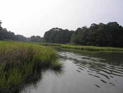 sonde in water
